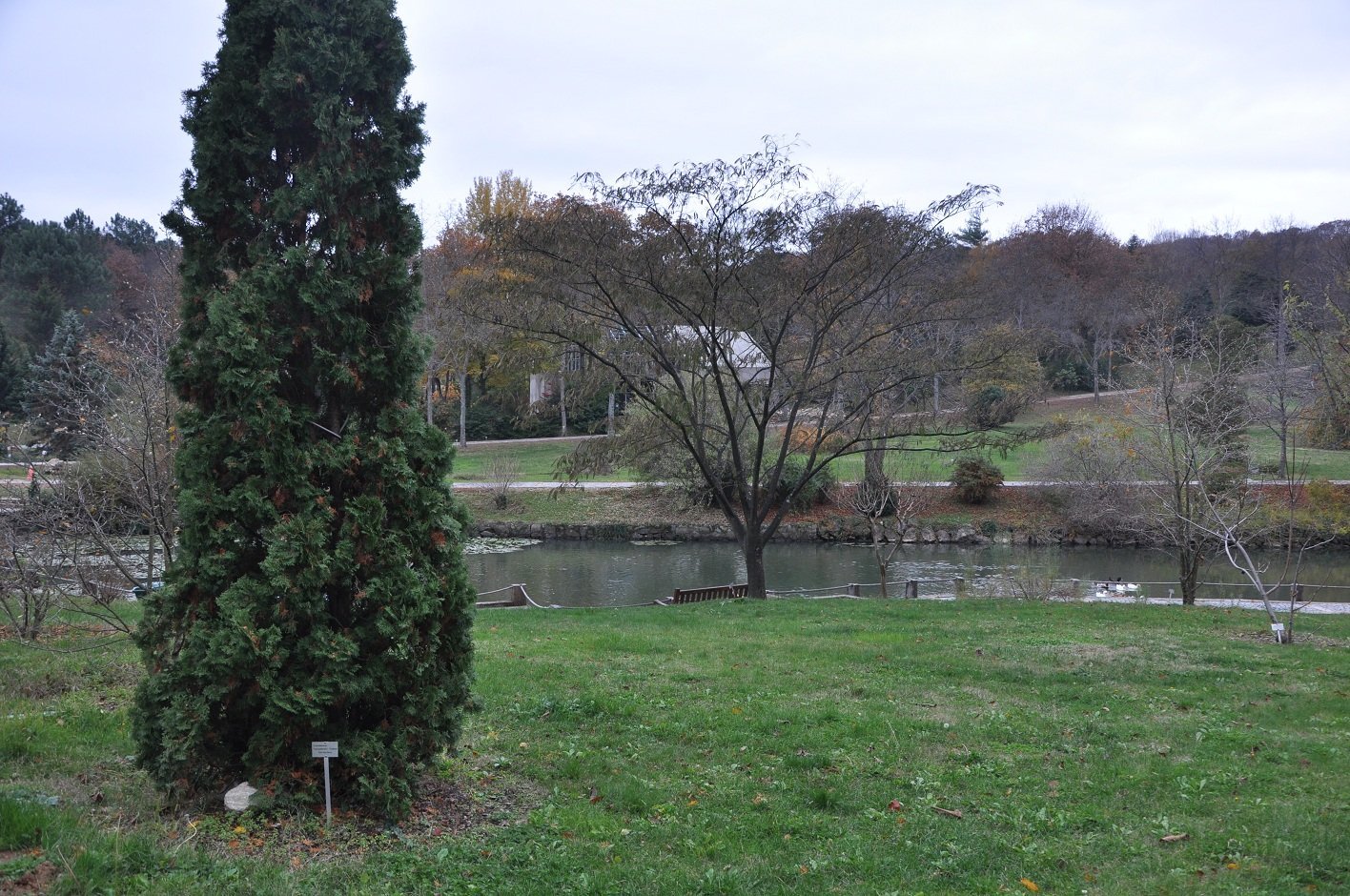 DSC_0120..jpg