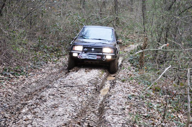 DSC_0121.jpg