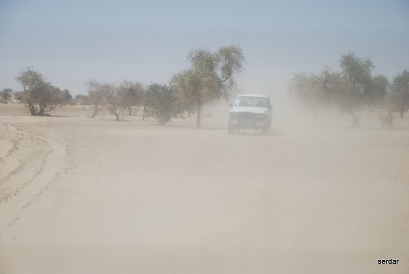 DSC_0124.jpg