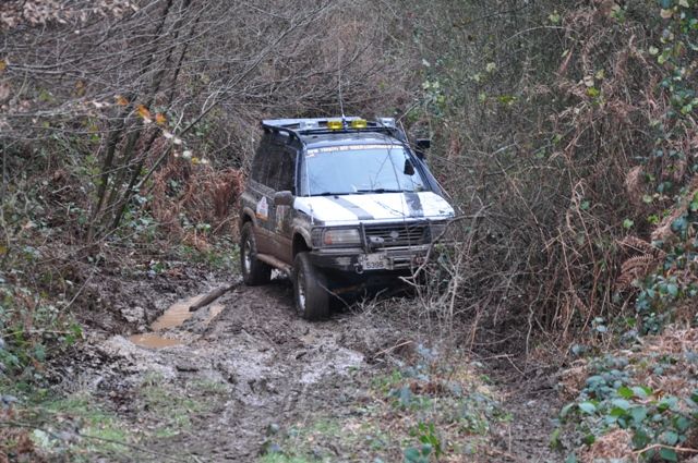 DSC_0126.jpg
