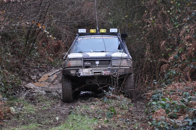 DSC_0129.jpg