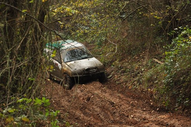 DSC_0131.jpg
