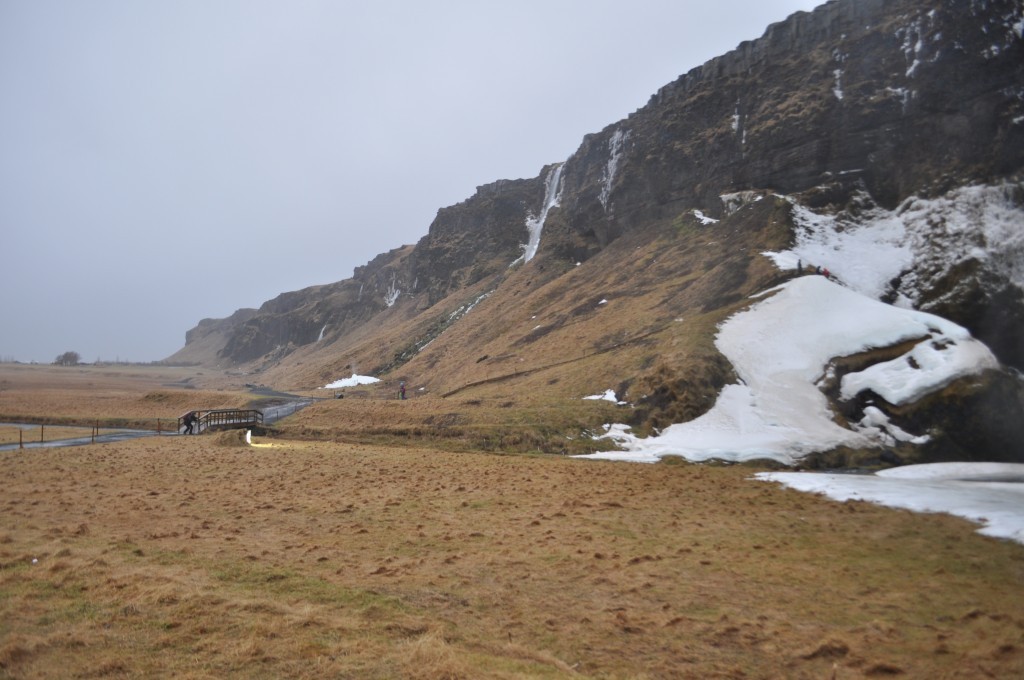 DSC_0131.JPG