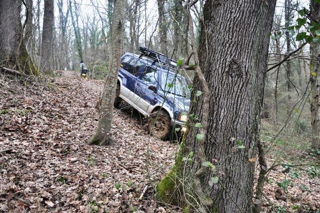 DSC_0132.jpg