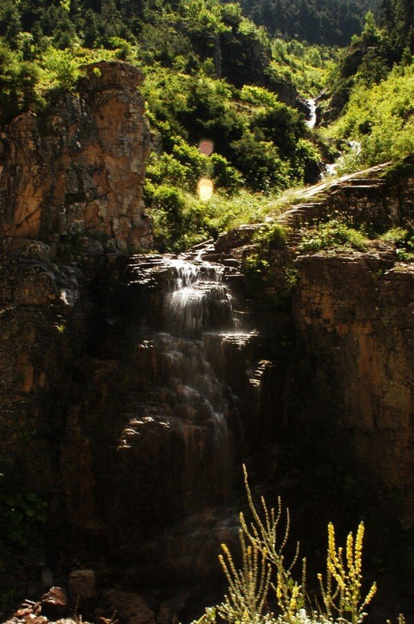 DSC_0132.jpg