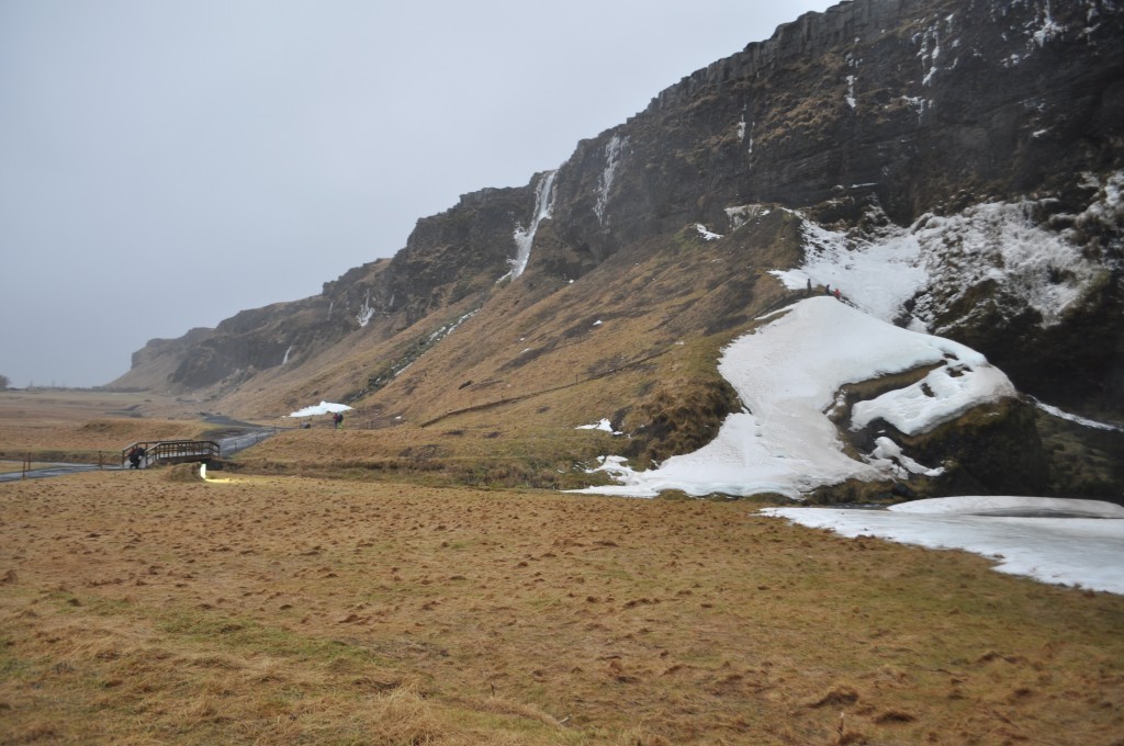 DSC_0132.JPG