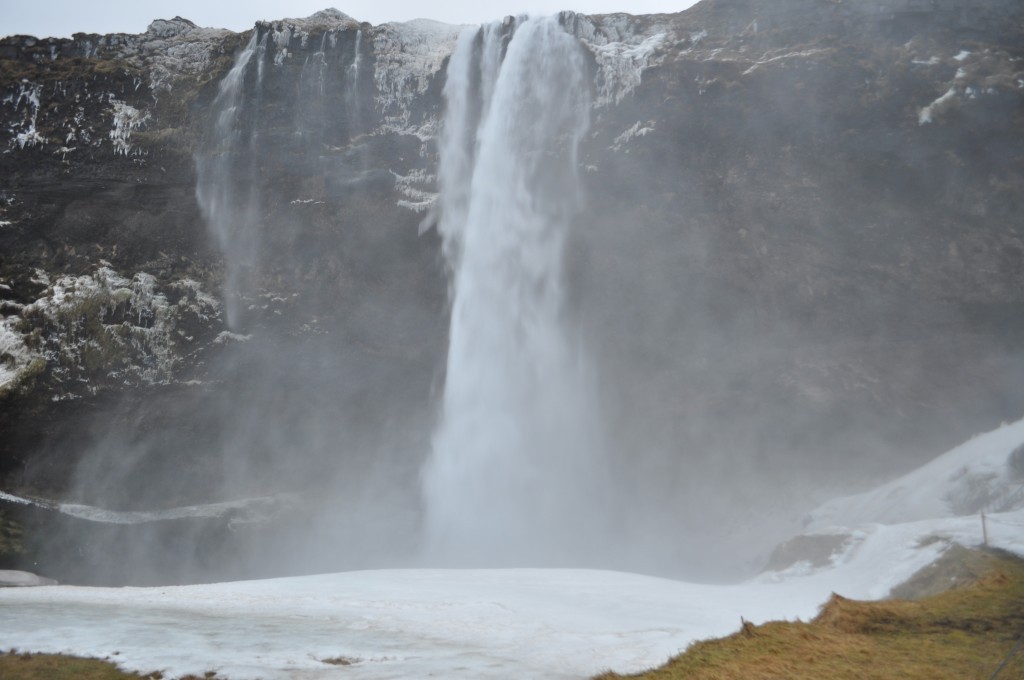 DSC_0133.JPG