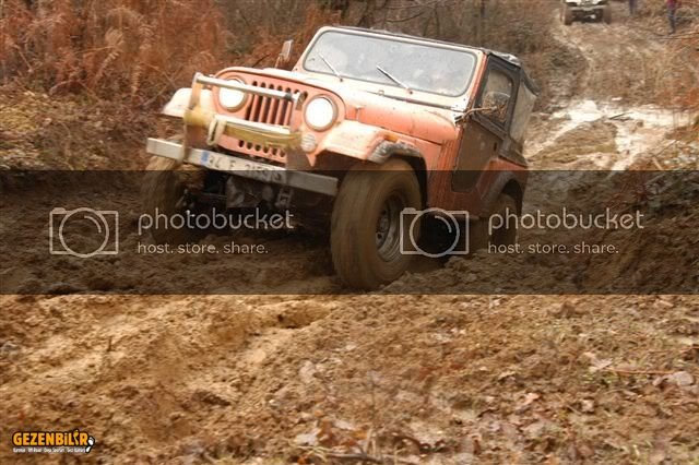 DSC_0133.jpg