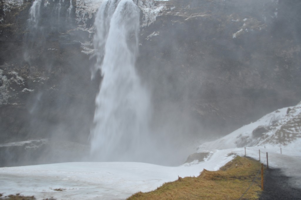 DSC_0134.JPG