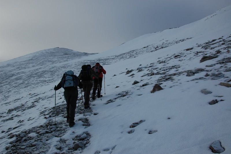 DSC_0135.jpg