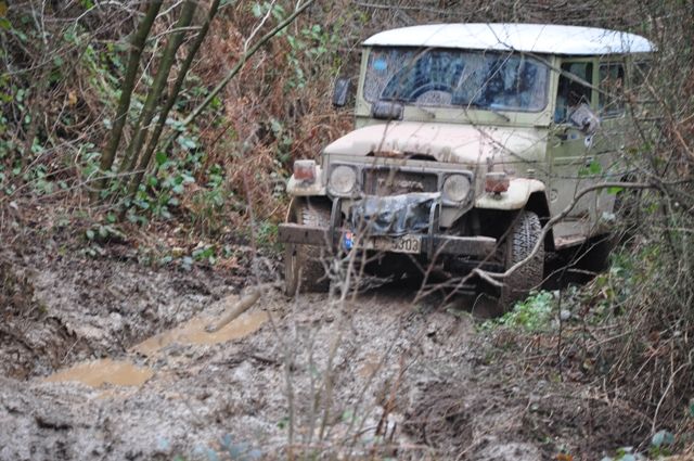 DSC_0135.jpg