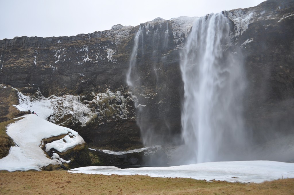 DSC_0135.JPG