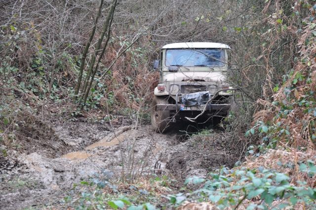 DSC_0136.jpg