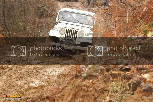 DSC_0136.jpg