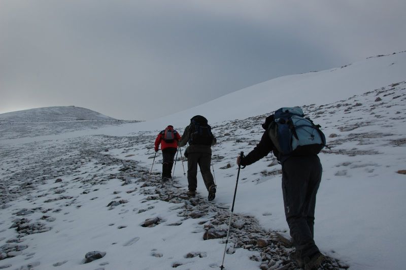 DSC_0137.jpg