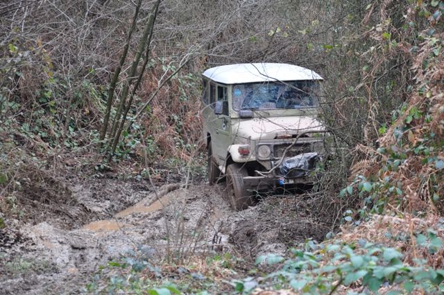 DSC_0137.jpg