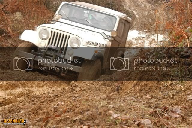 DSC_0137.jpg
