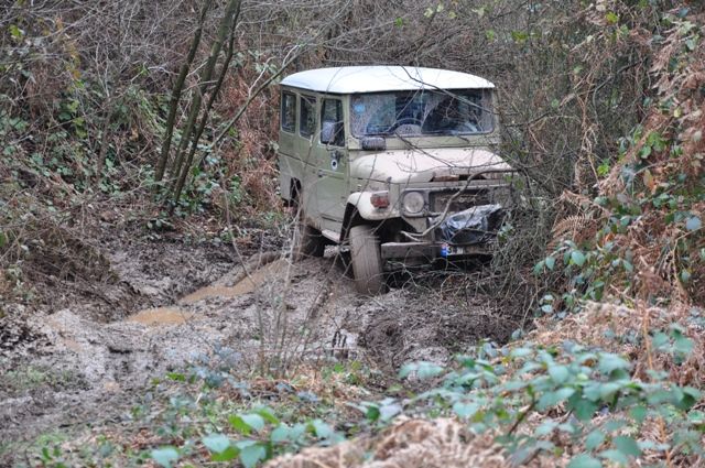 DSC_0139.jpg