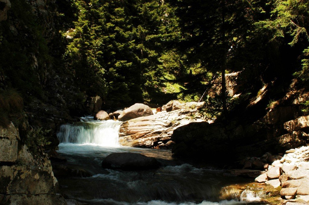 DSC_0140.jpg