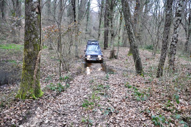 DSC_0141.jpg