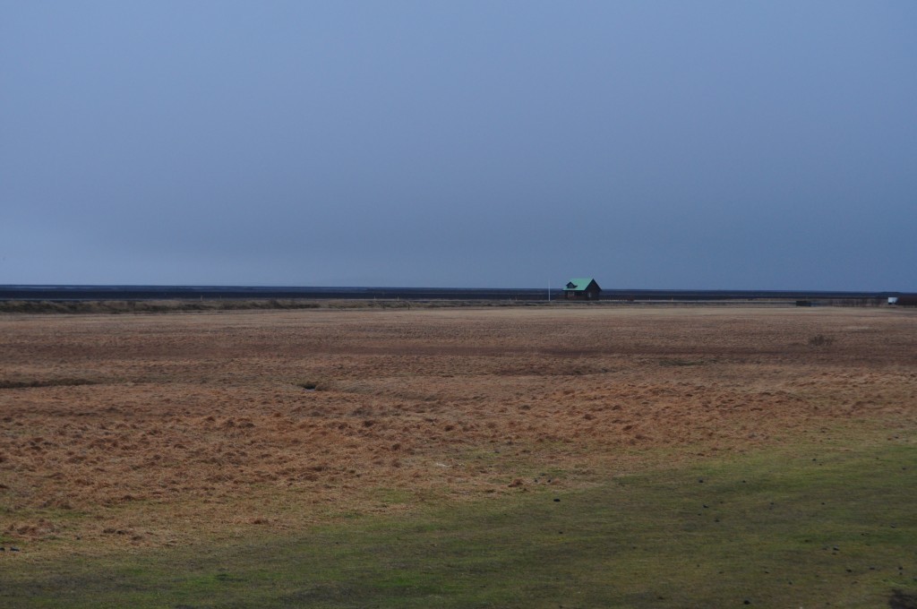 DSC_0141.JPG