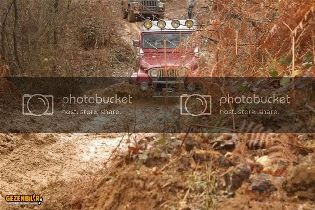 DSC_0141.jpg