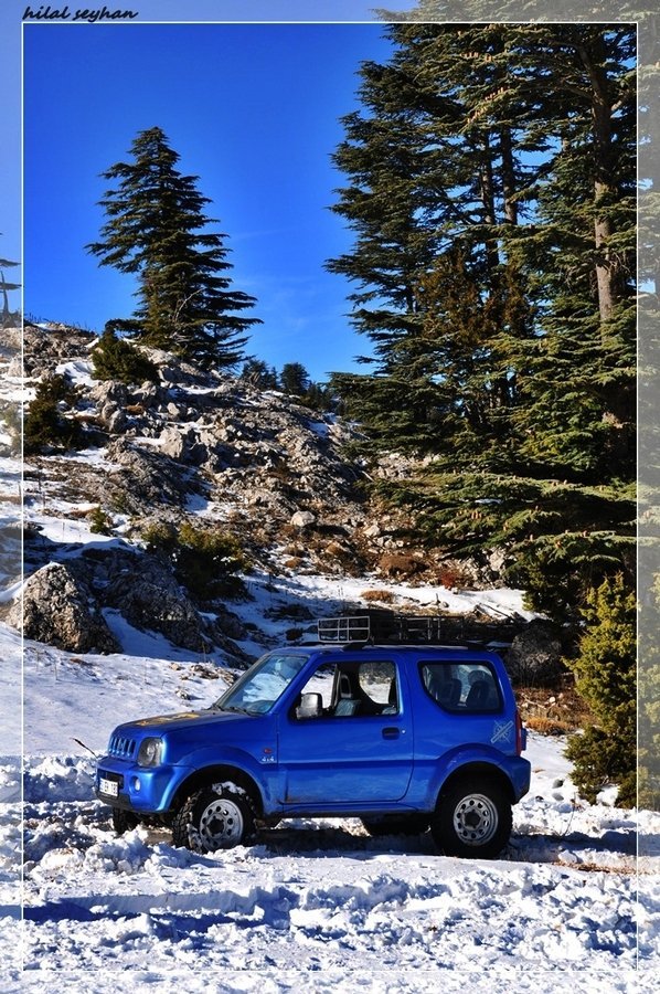 DSC_0142 [800x600].jpg