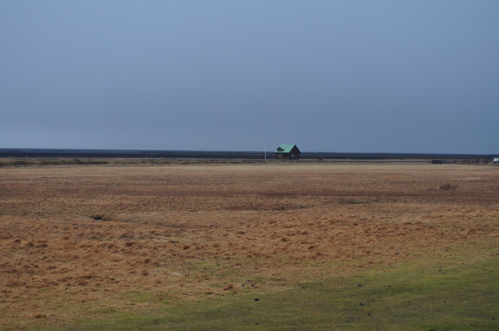DSC_0142.JPG