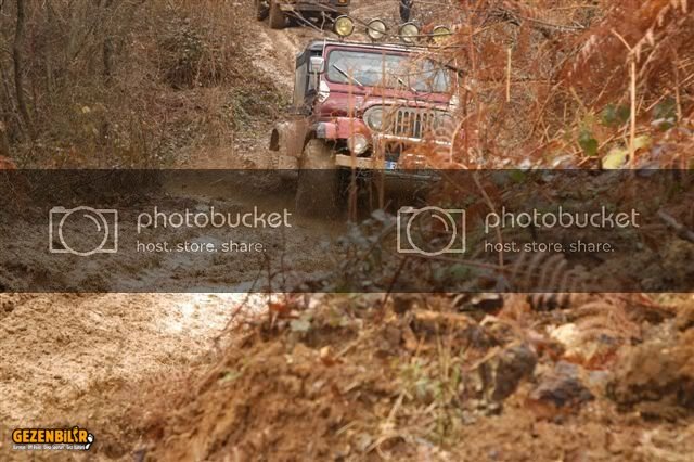 DSC_0142.jpg