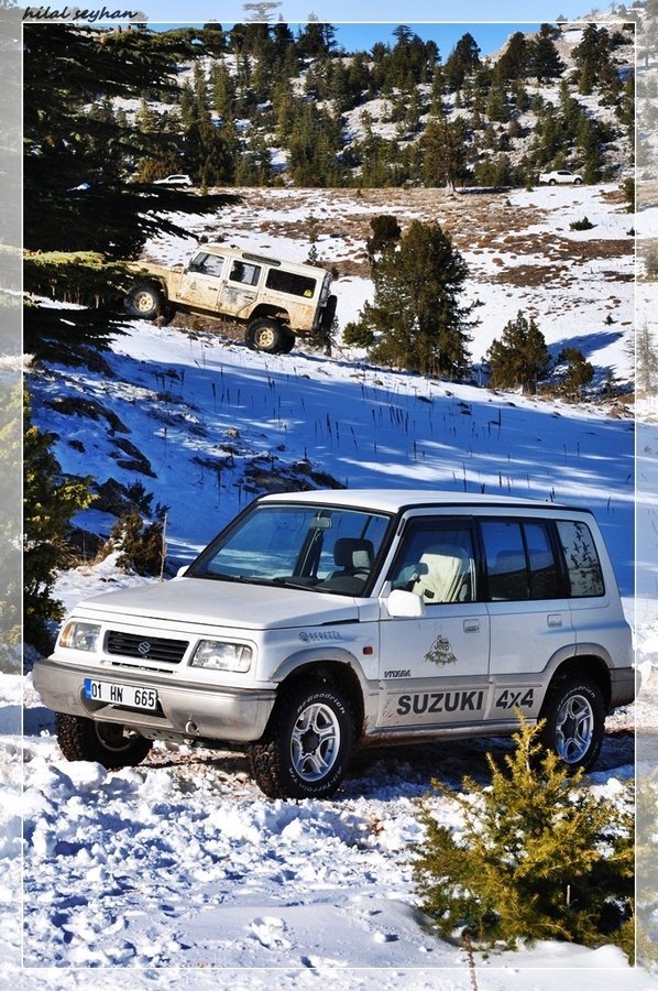 DSC_0143 [800x600].jpg