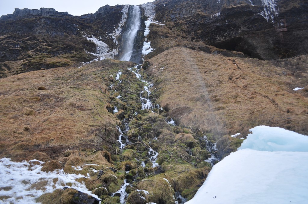 DSC_0145.JPG