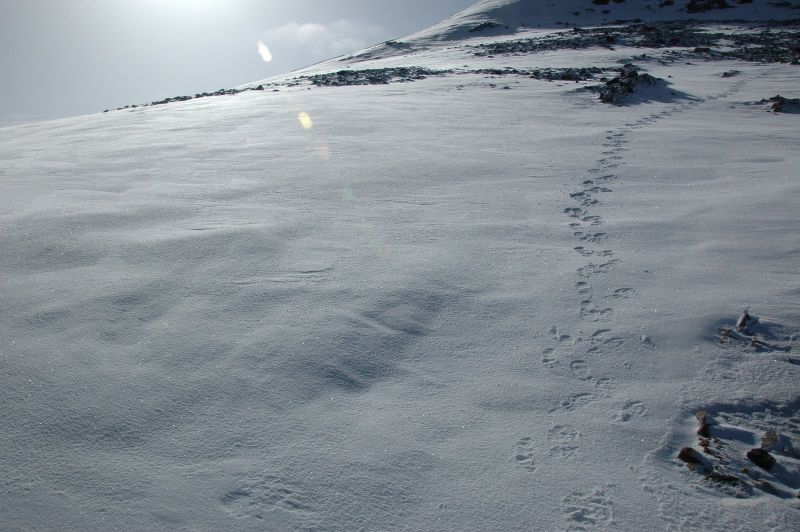 DSC_0152.jpg