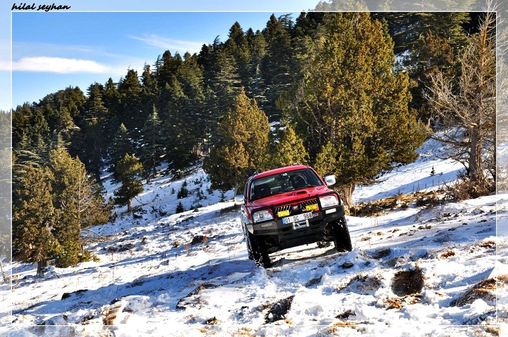 DSC_0153 [800x600].jpg