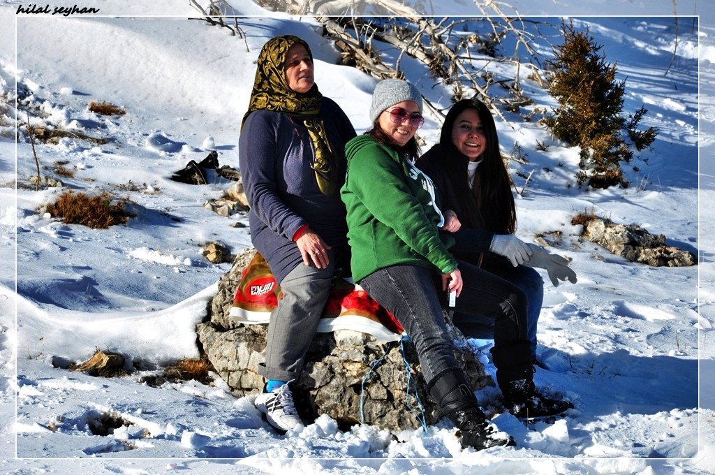 DSC_0157 [800x600].jpg