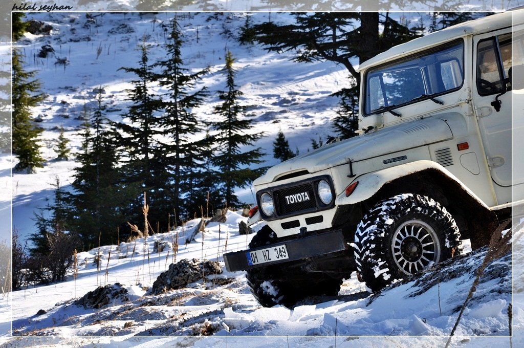 DSC_0160 [800x600].jpg