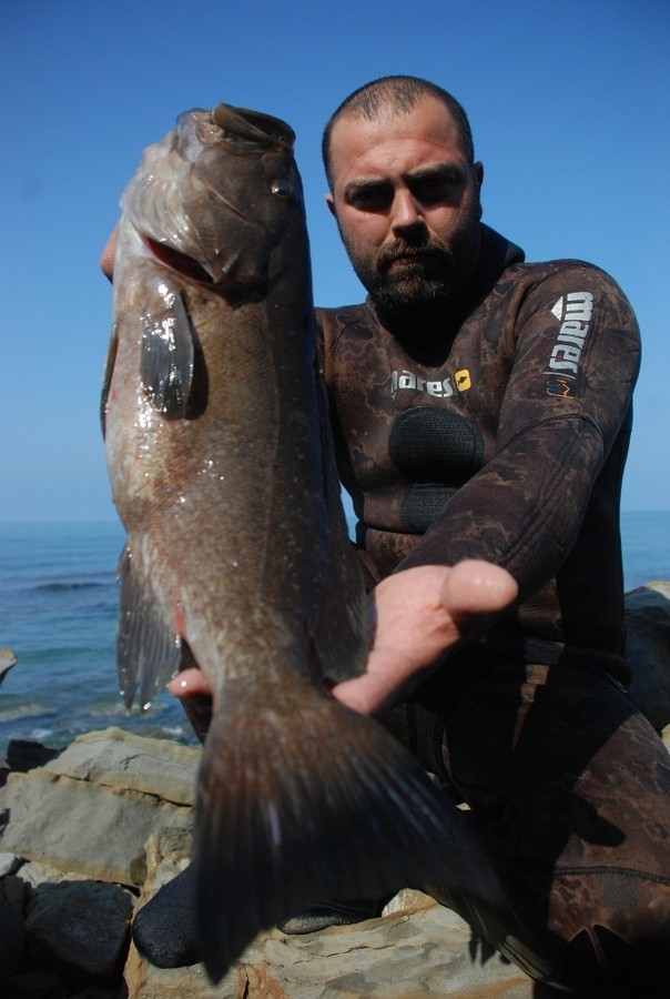 DSC_0163.JPG