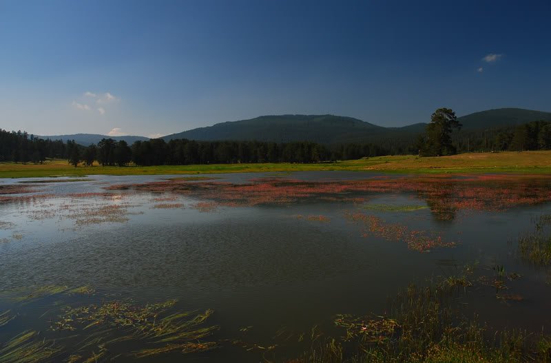 DSC_0164.jpg