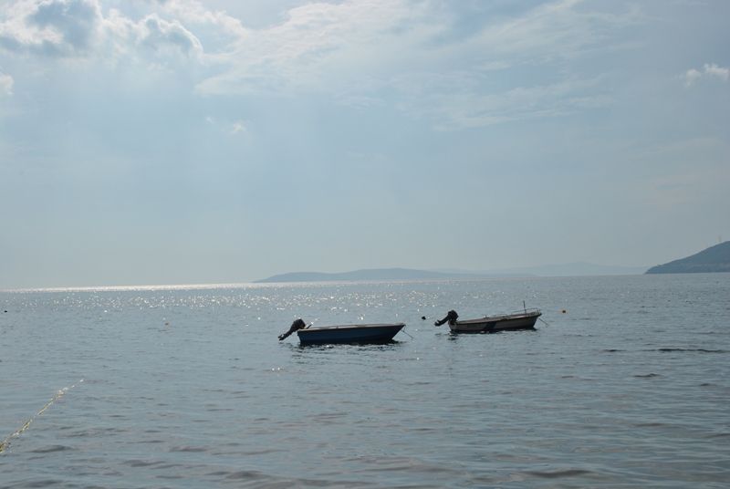 DSC_0165.jpg