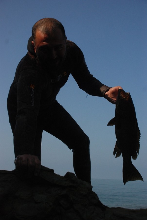 DSC_0169.JPG