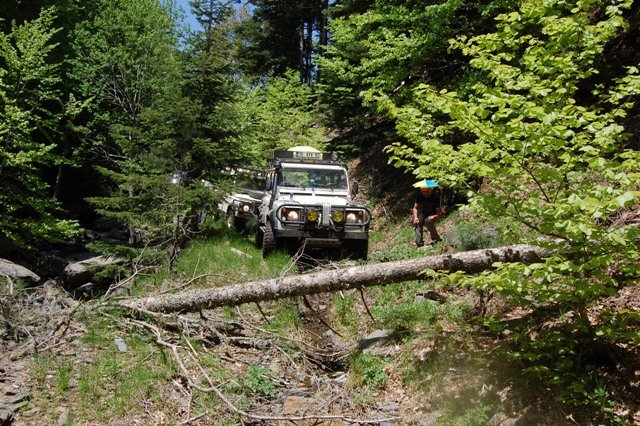 DSC_0169.jpg