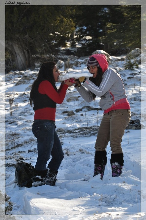 DSC_0173 [800x600].jpg