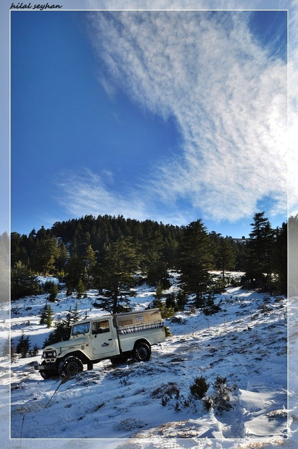 DSC_0174 [800x600].jpg