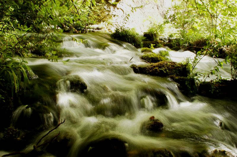 DSC_0174.jpg
