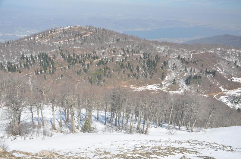 DSC_0178.jpg