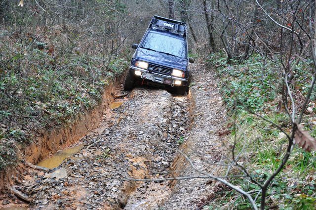DSC_0178.jpg