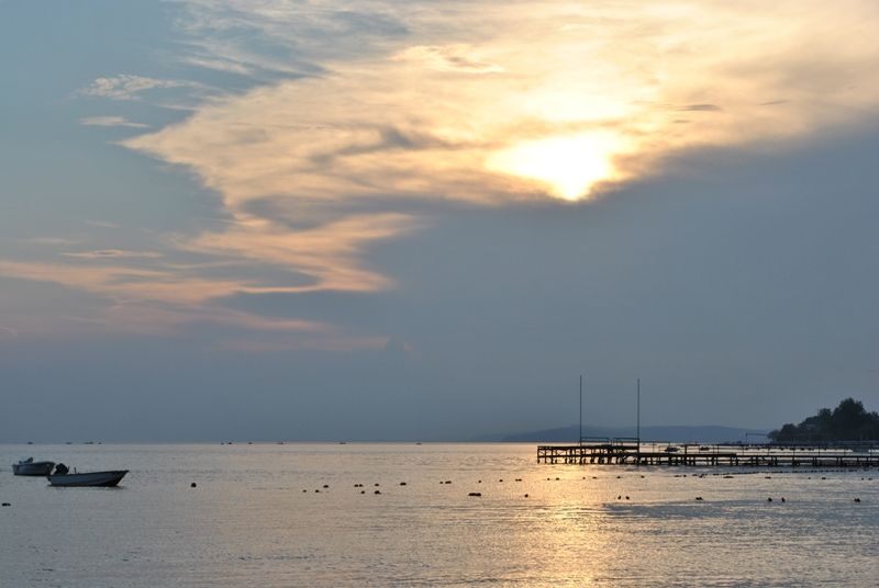 DSC_0178.jpg