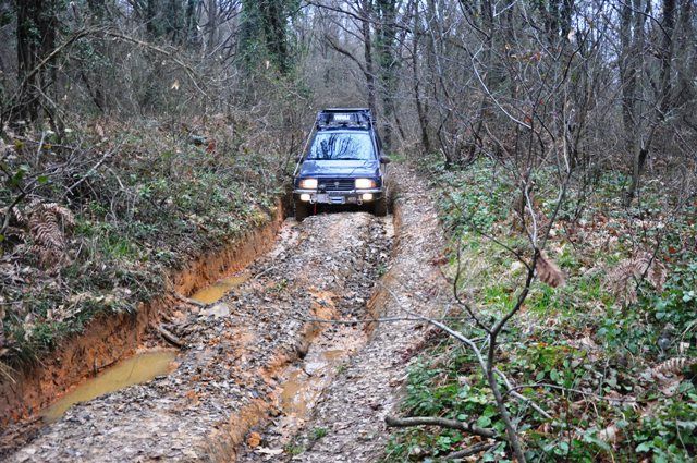 DSC_0179.jpg