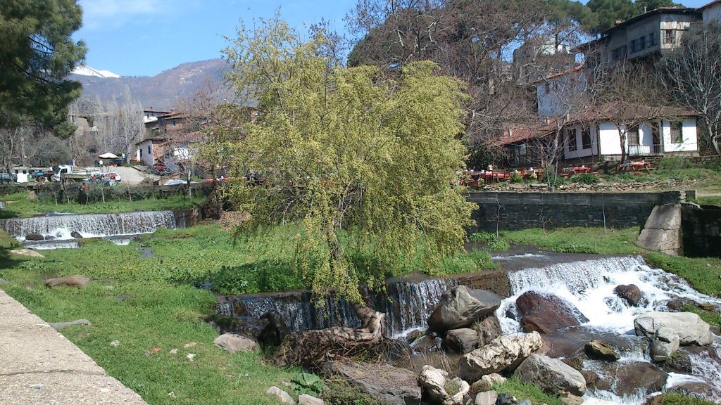 DSC_0179.jpg