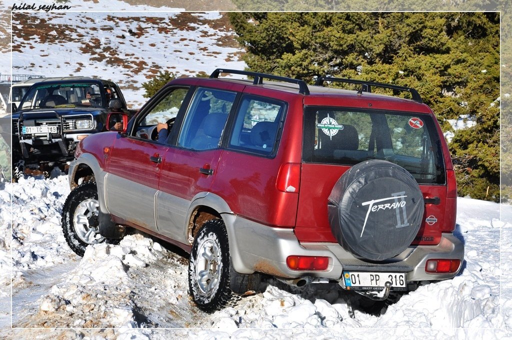 DSC_0182 [800x600].jpg