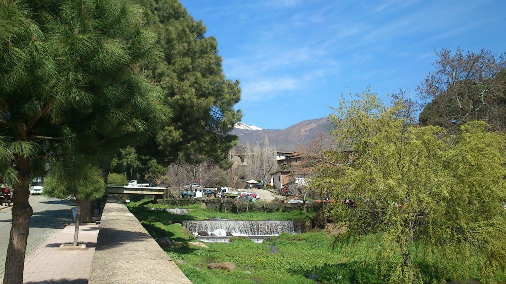 DSC_0182.jpg